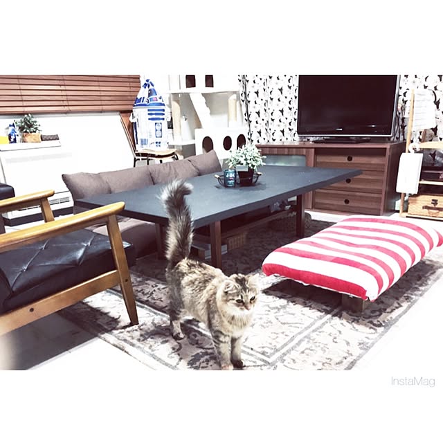 nauy2525さんの実例写真