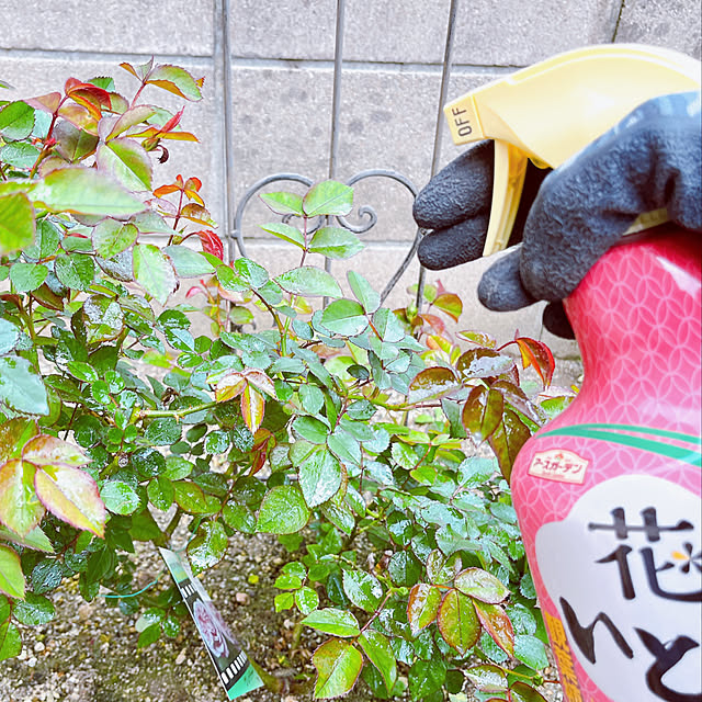 moolさんの部屋