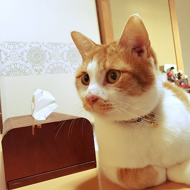 tenさんの実例写真