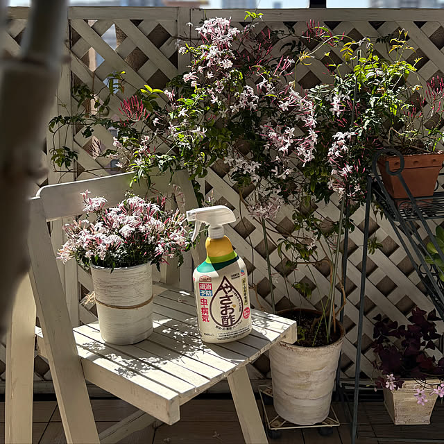 momo_sanさんの実例写真