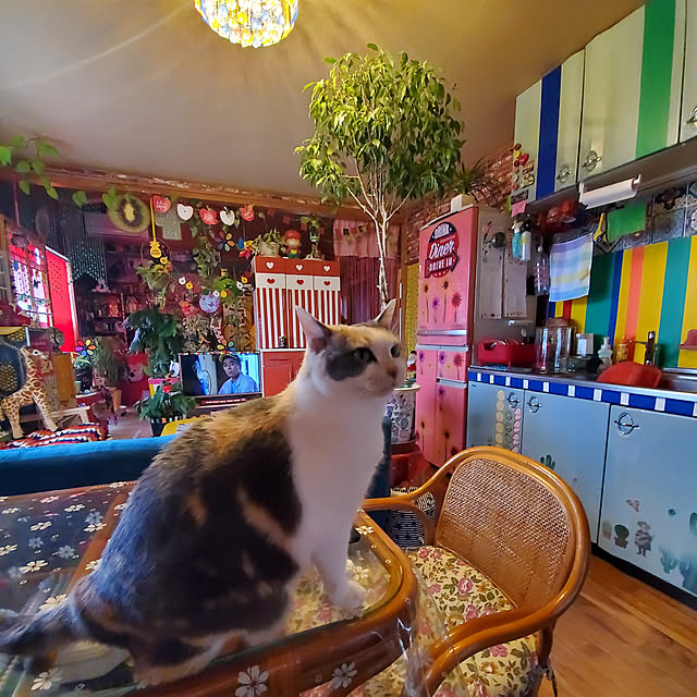 kumutanさんの実例写真