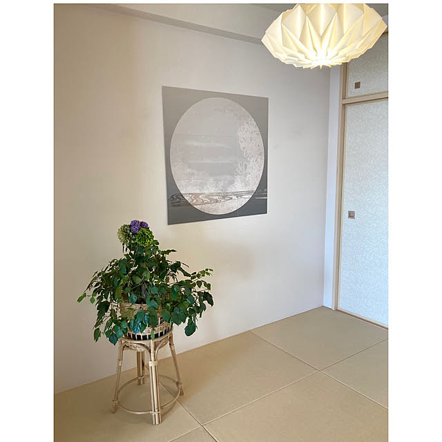 marukoさんの部屋