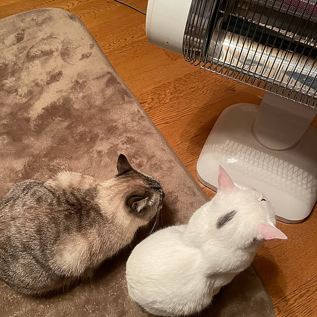 Rt_styleさんの部屋