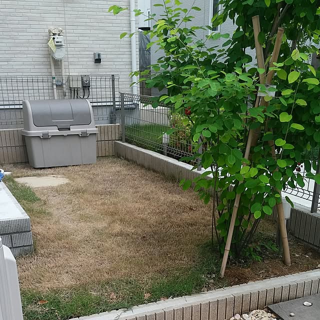 fu-shunさんの実例写真