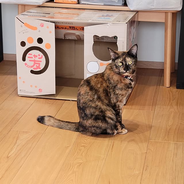 natuさんの実例写真
