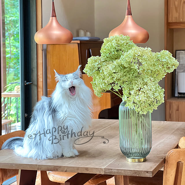 Kikko.さんの部屋