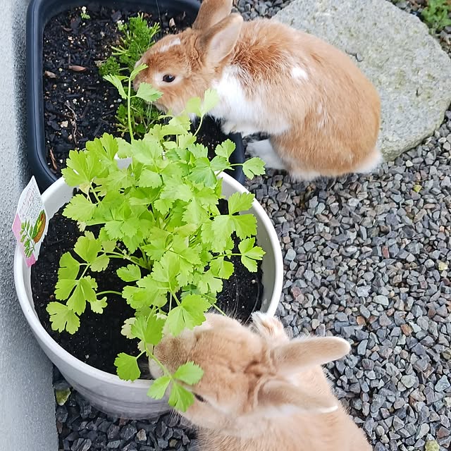 aiさんの部屋