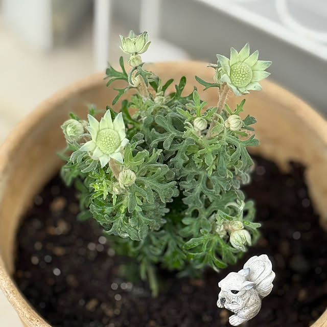 zuccoさんの部屋