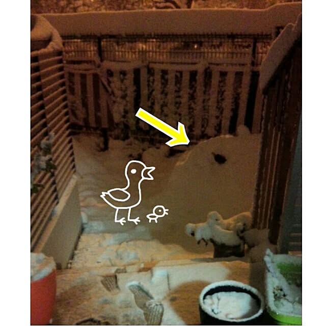 Sukeさんの実例写真