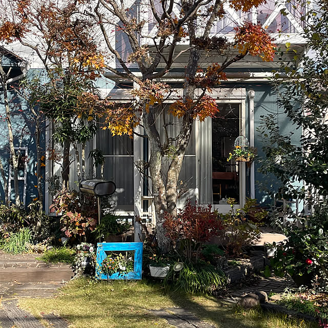 nobikoさんの部屋