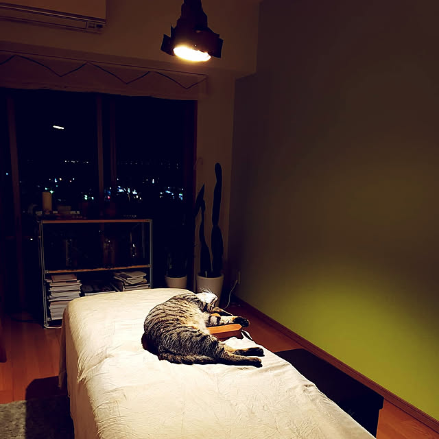 mitu_masaoさんの実例写真
