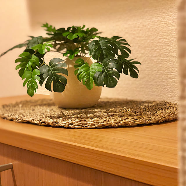 観葉植物/シャーメゾン 1LDK/玄関/入り口のインテリア実例 - 2019-07-27 08:26:16