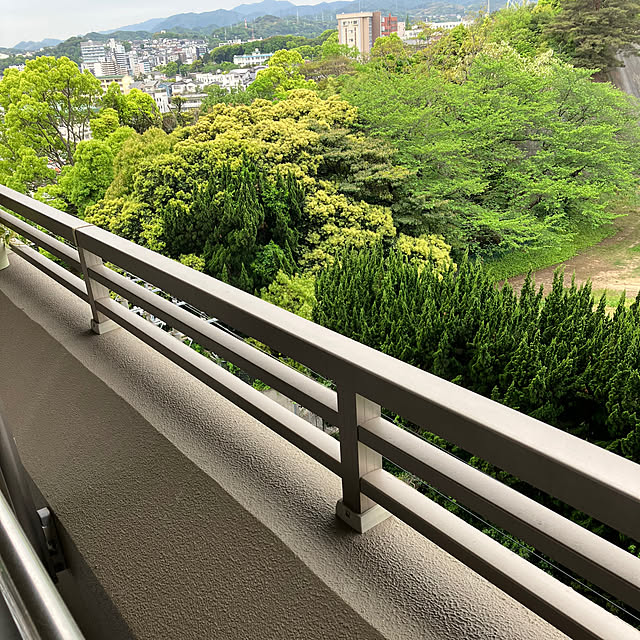 koshiregutyoさんの部屋