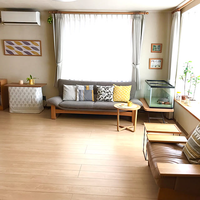 kikkoさんの実例写真