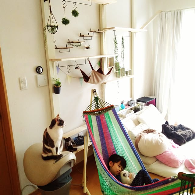 sisimaru1023さんの実例写真