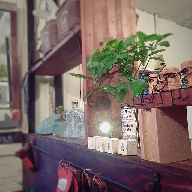m217さんの実例写真
