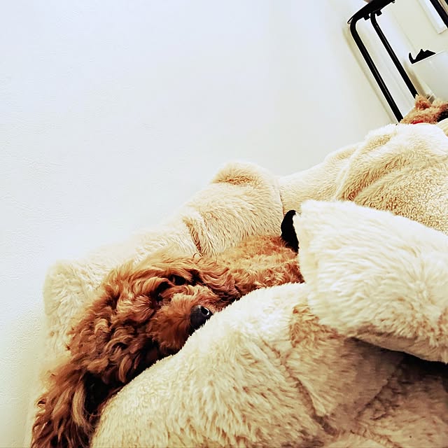 MOMOMAMAさんの実例写真