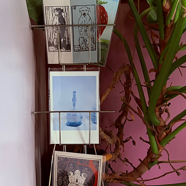 chacoさんの部屋