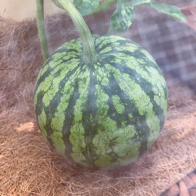 tomoさんの部屋