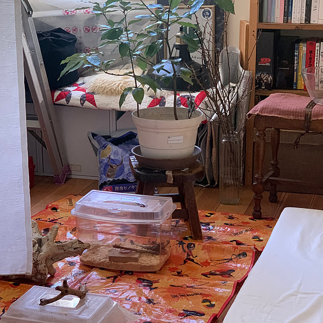 masakoさんの部屋