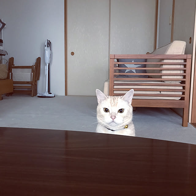 hiyupan88さんの実例写真
