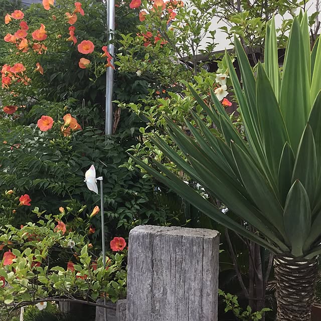 S72さんの実例写真
