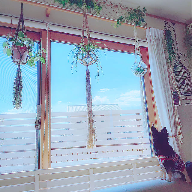 xigyanさんの実例写真