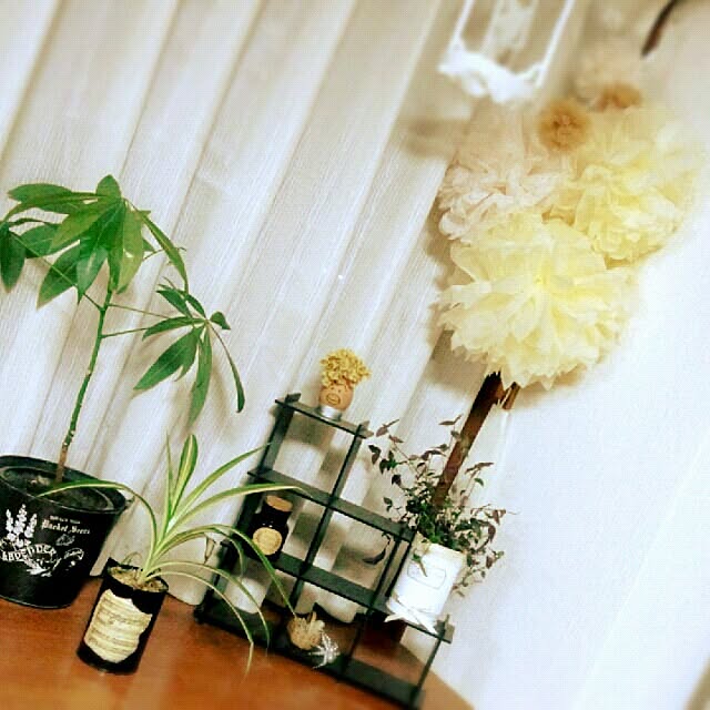 cache-cacheさんの実例写真
