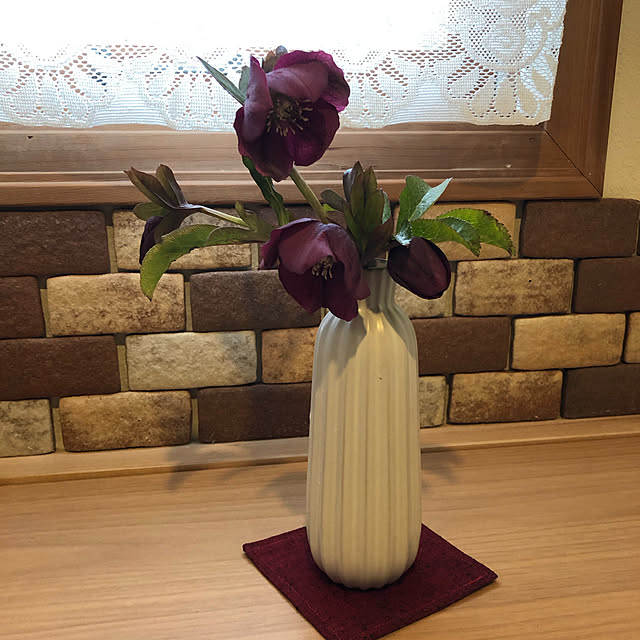 ikubooさんの実例写真