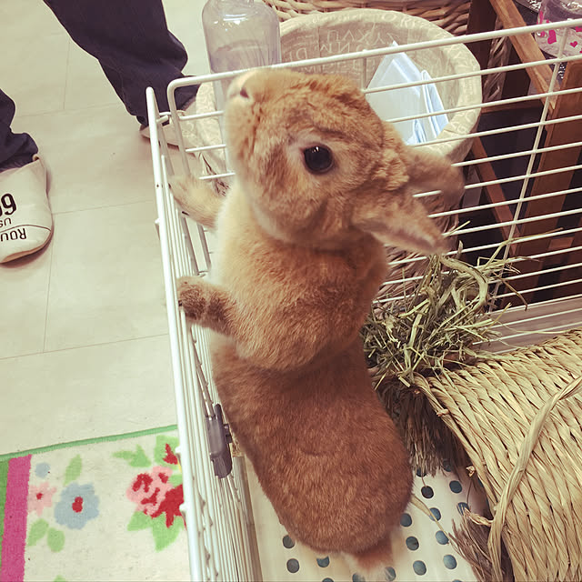 Yasuyukiさんの実例写真