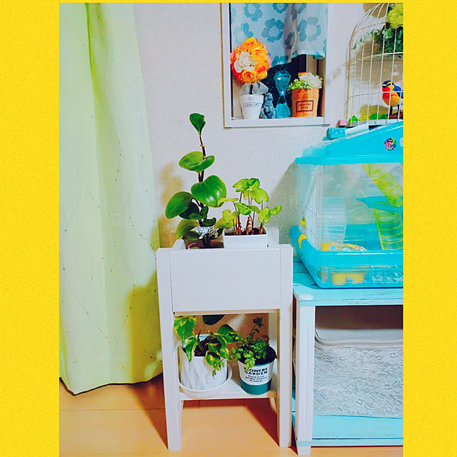 Miyumamaさんの実例写真