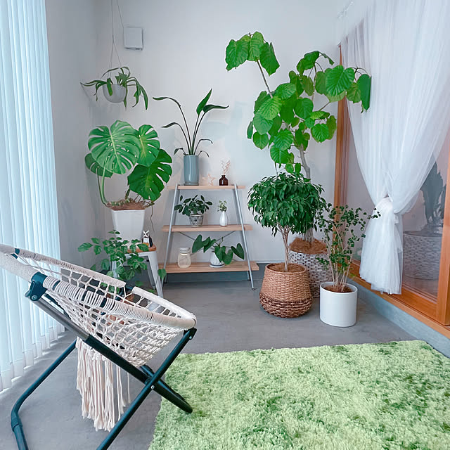 vol.3994写真