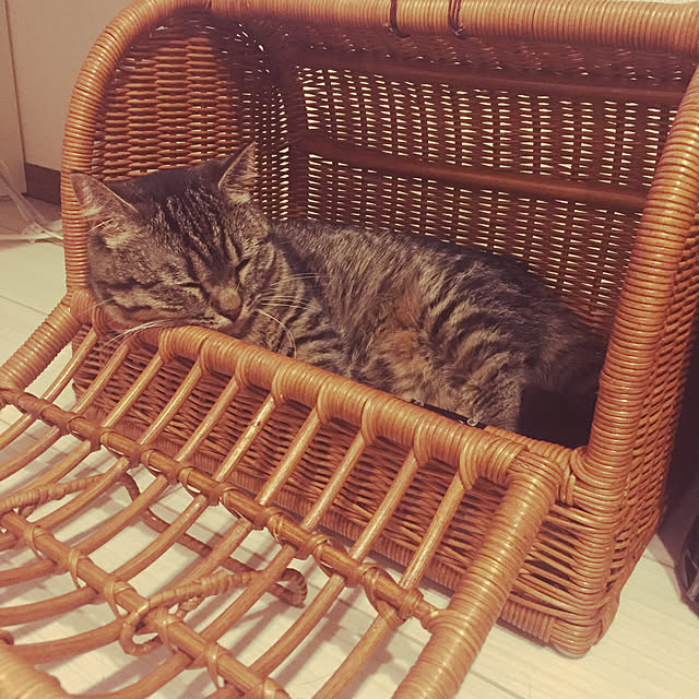 nocomomさんの実例写真