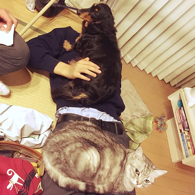 LEMONさんの実例写真