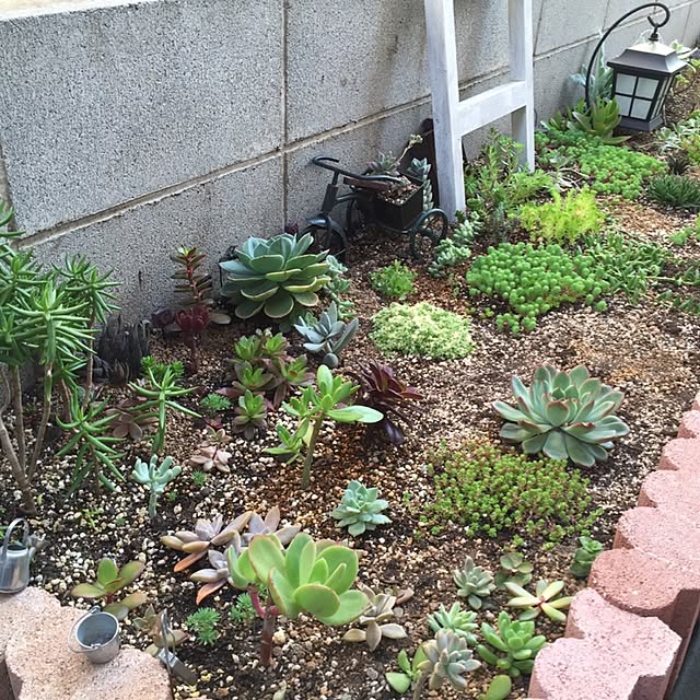 ecoさんの実例写真