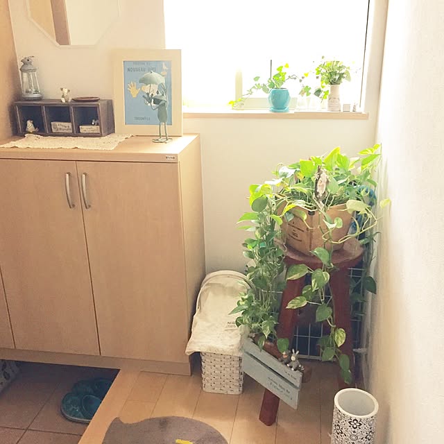 実例写真