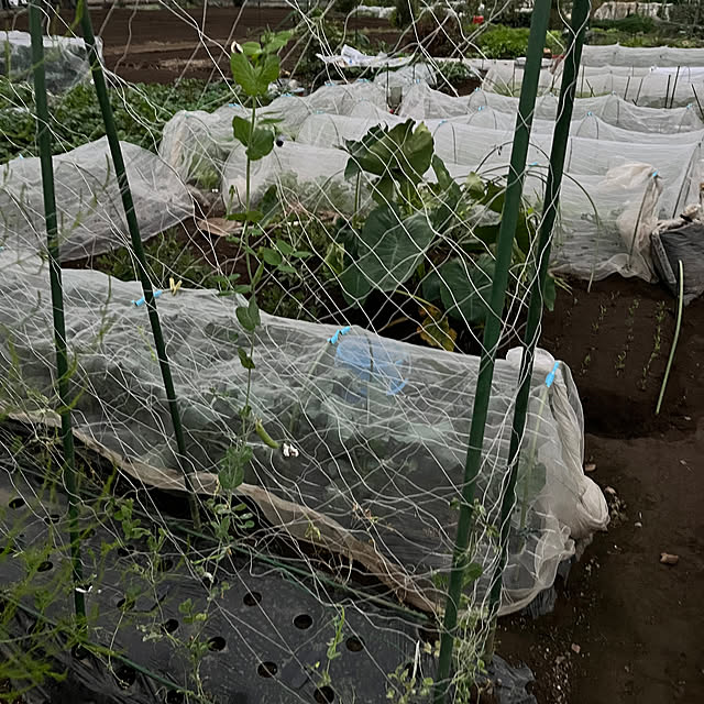 EMIKOさんの部屋