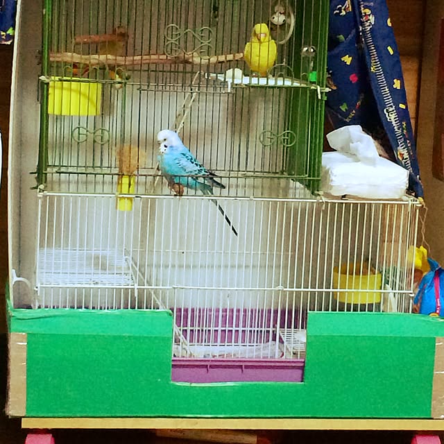 p.mamaさんの実例写真