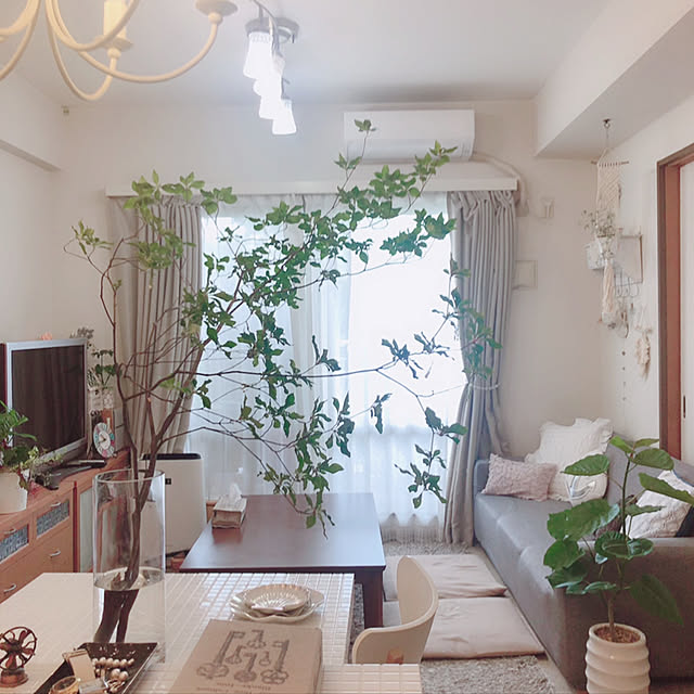 ドウダンツツジ/ナチュラル/雑貨/観葉植物/グレーインテリア...などのインテリア実例 - 2020-05-25 22:28:45