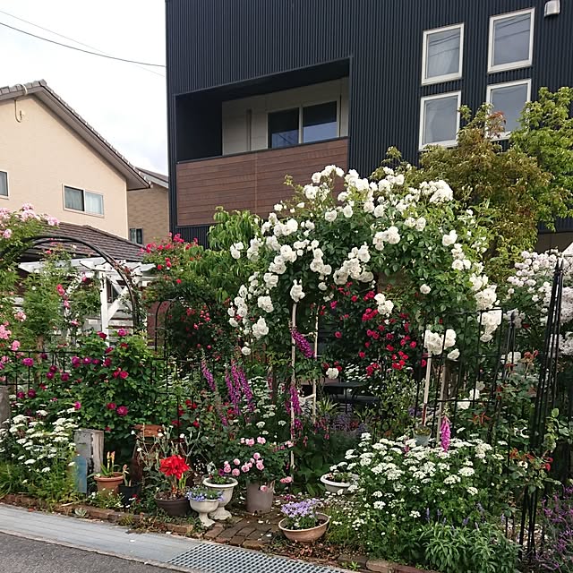 tomotomoさんの部屋