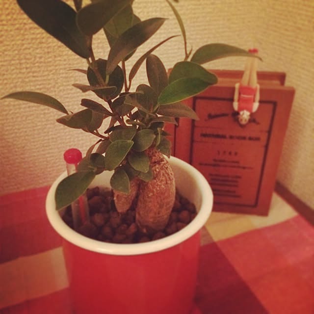 Kiyoeさんの実例写真