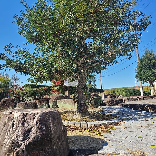 Rubiconさんの部屋