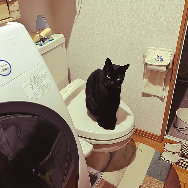 jijiさんの部屋