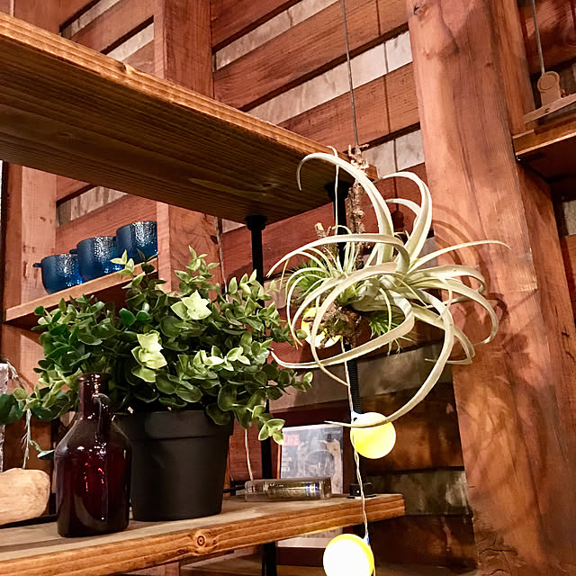 GarageDDさんの実例写真