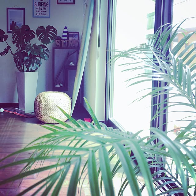 harusoraさんの実例写真