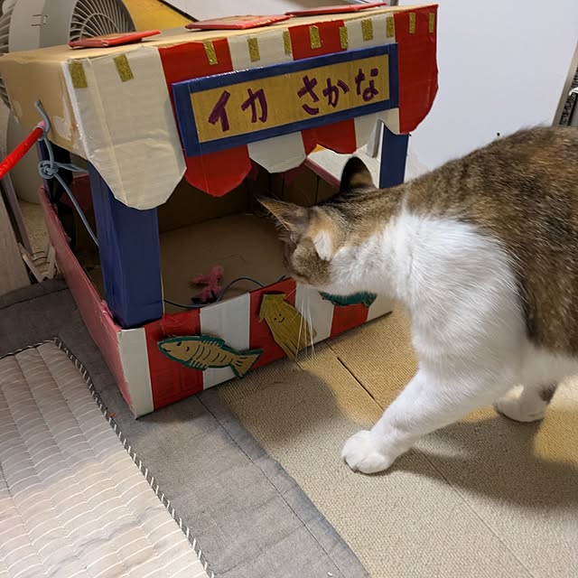 mori_6_12さんの部屋