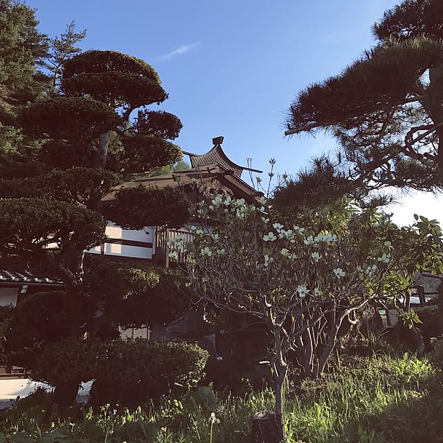 Saorinさんの実例写真