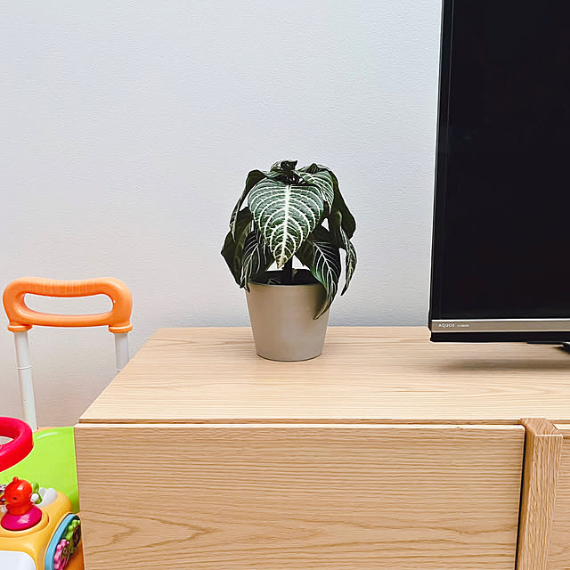 erikaさんの部屋