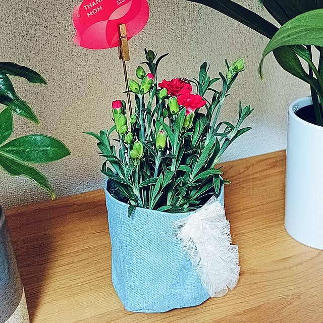 hanachanさんの部屋