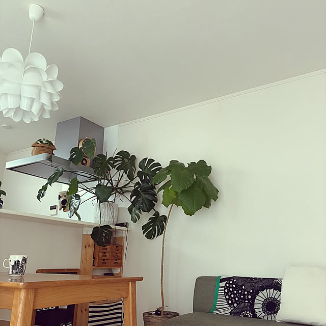 e-sukeさんの実例写真